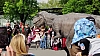 IMG_1669.jpg