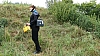 20240906_150851.JPG